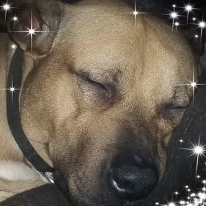 Meet your Posher, Tonya